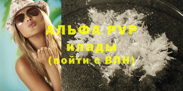 гидра Белокуриха