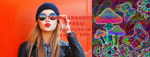 гидропоника Инсар