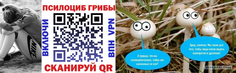 где купить наркоту  Севск  Галлюциногенные грибы Psilocybine cubensis 